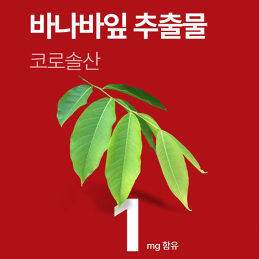 보령 당행콜 3중케어 60정 2박스 2개월 혈당 혈행 콜레스테롤 바나바잎 은행잎 녹차추출물 - 상세 이미지 5