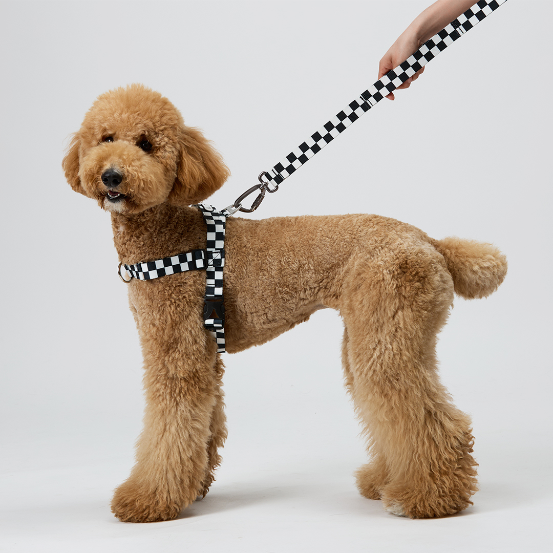 일로 맥스 리쉬 리드줄 반려견 산책용품 2m 텐텐, 2.4m 핸즈프리