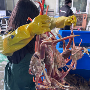 킹콩농수산 러시아 대게 수율보장 특A급 활 자숙 박달대게 1KG 사계절 ... 맛있게 먹은 솔직 후기 - 상품 이미지 2