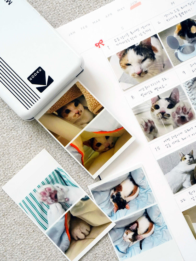 리훈 오픈뷰 먼슬리다이어리 라지 빅사이즈 플래너 A4 디깅달력 이미지 3