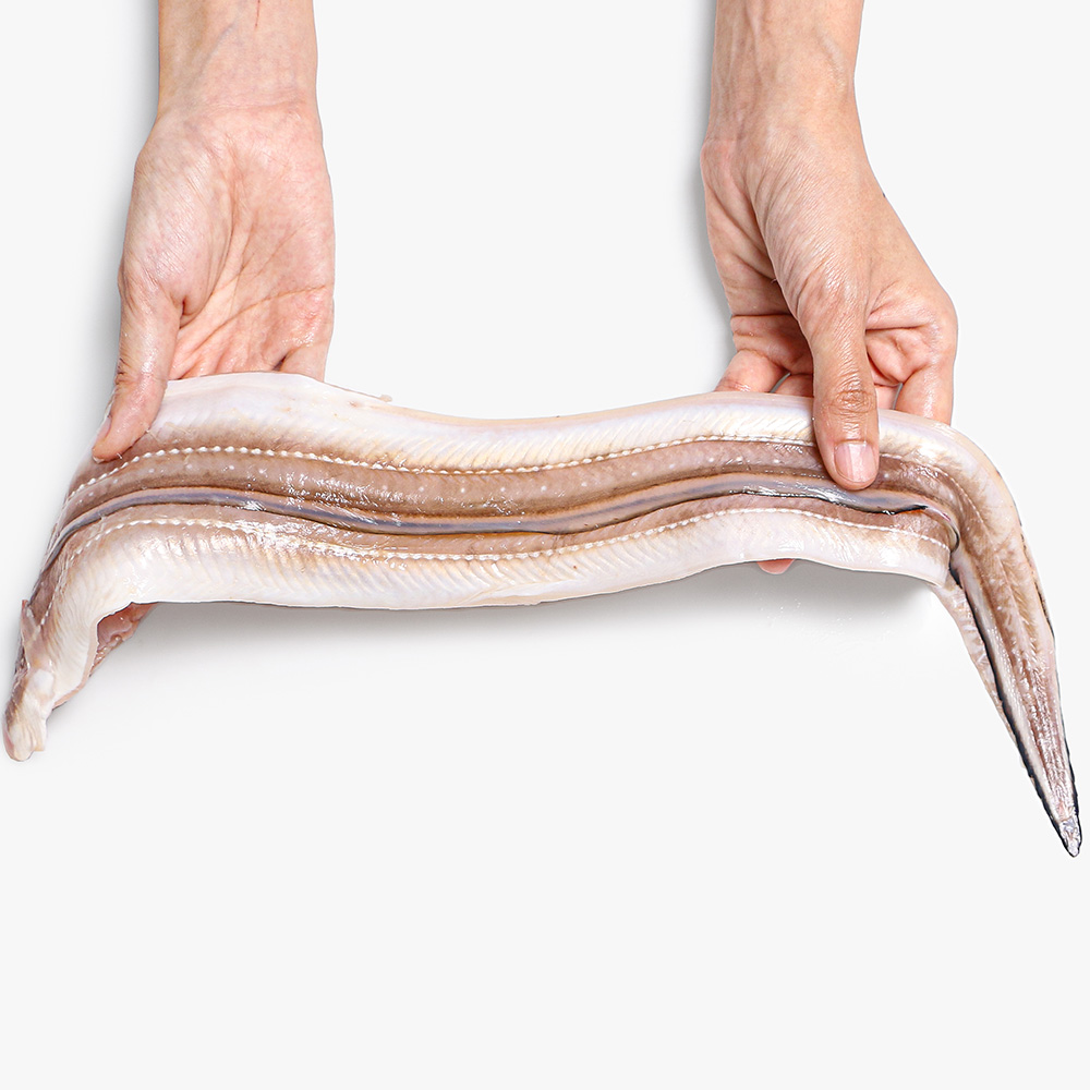 자연산 바다장어 순살 500g 아나고 붕장어 장어구이 - 상세 이미지 2