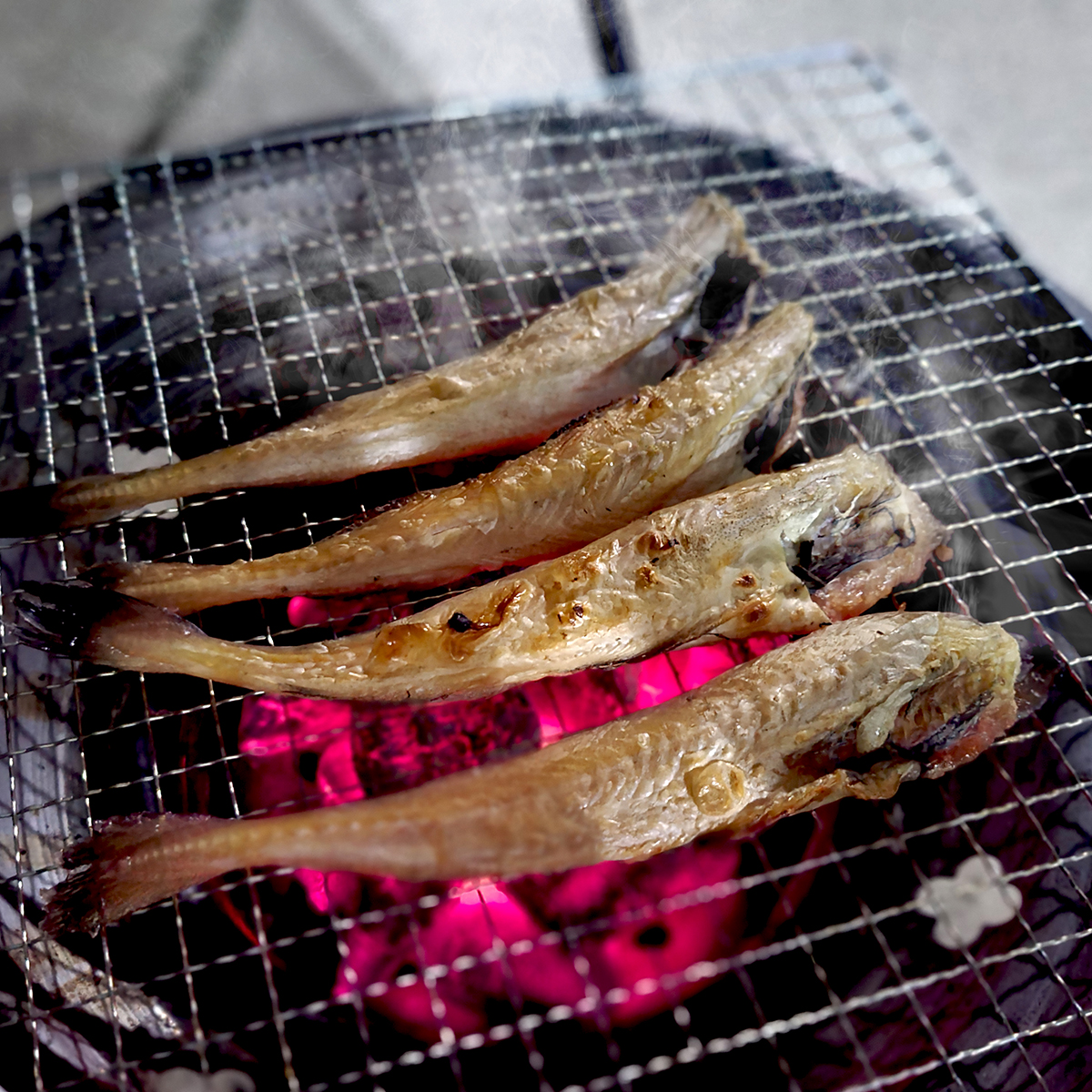 촉촉한 반건조노가리 두절 조미 손질 노가리 (중소) 500g, 1개 - 상세 이미지 2