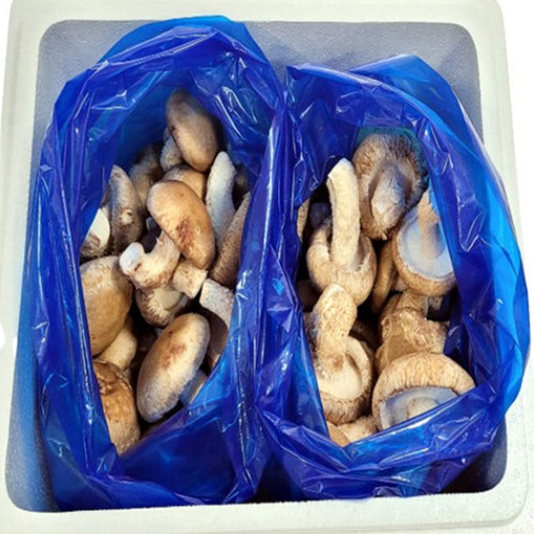 면역력/건강식재료 국내산 송화버섯 500g/1kg 향 가득한 프리미엄 송향버섯 - 상세 이미지 4