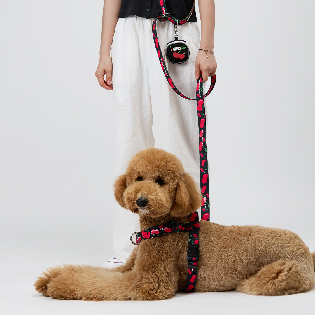 일로 맥스 리쉬 리드줄 반려견 산책용품 2m 체리붐, 2.4m 핸즈프리