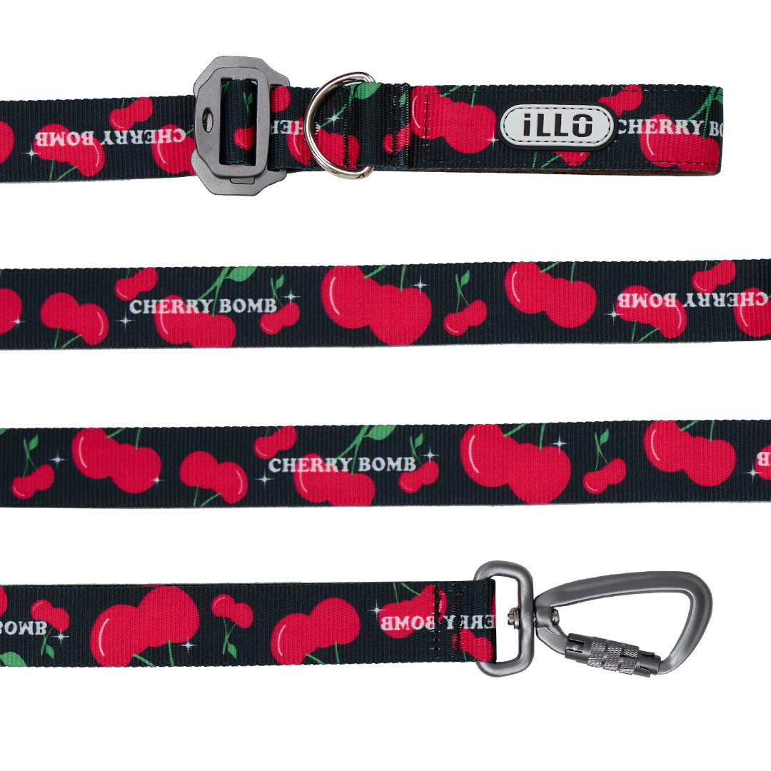 일로 맥스 리쉬 리드줄 반려견 산책용품 2m 체리붐, 2.4m 핸즈프리