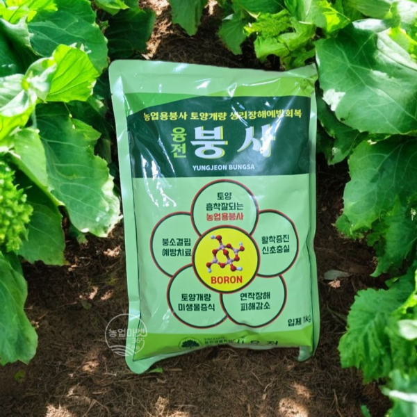 [붕소전용제제] 융전 붕사입제 붕산수용제 비료 식물영양제 1kg, 1개입 - 상품 이미지