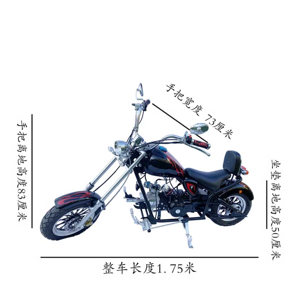 할리데이비슨 125cc 미니바이크 입문용 전시용 레져 오토바이 - 상세 이미지 5