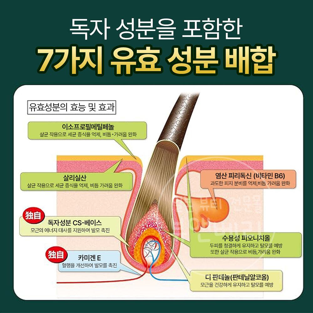 카미노모토 유향 일본 헤어에센스 200ml - 상세 이미지 2