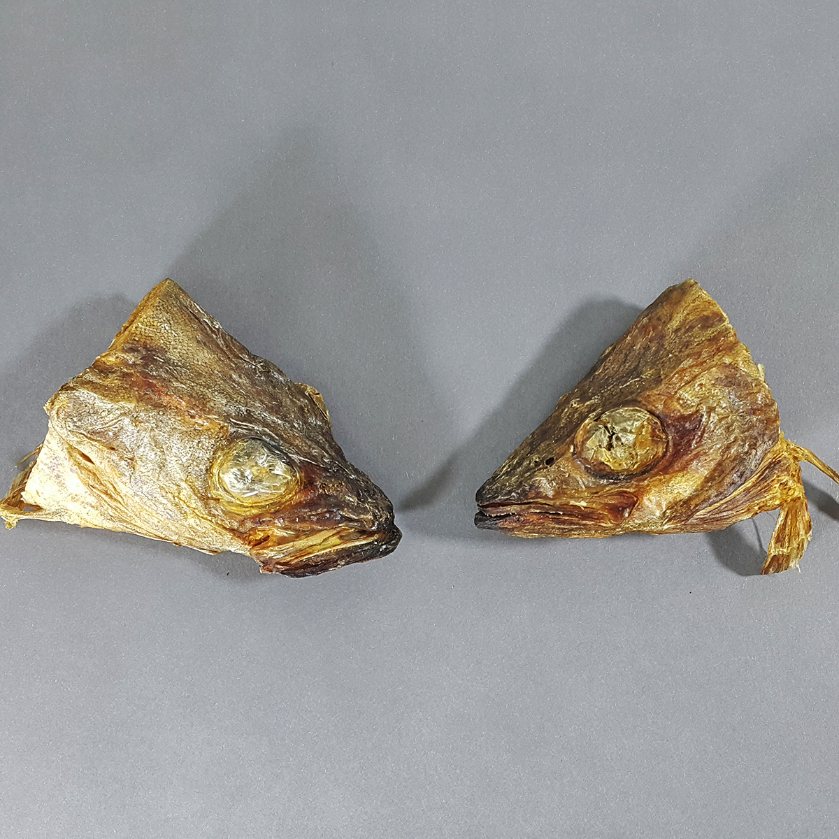 육수 잘 나는 황태 황태머리 북어머리 명태 1kg, 1개 - 상세 이미지 3