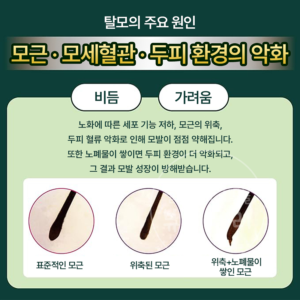 카미노모토 유향 일본 헤어에센스 200ml - 상세 이미지 4