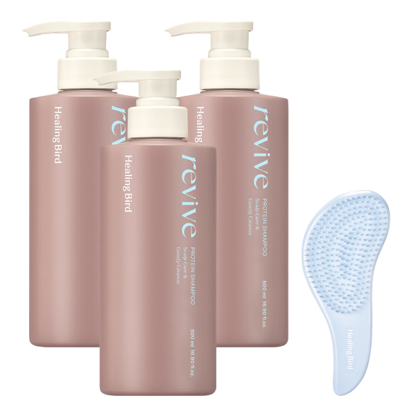 힐링버드 리바이브 단백질 샴푸 500ml 3개 헤어브러쉬 : 라운엔