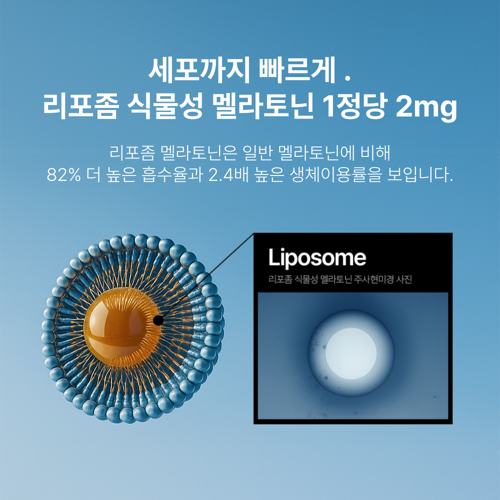 팜리셋 리포좀 식물성 멜라토닌 2mg 흑하랑 상추 메라토닌 - 상세 이미지 4