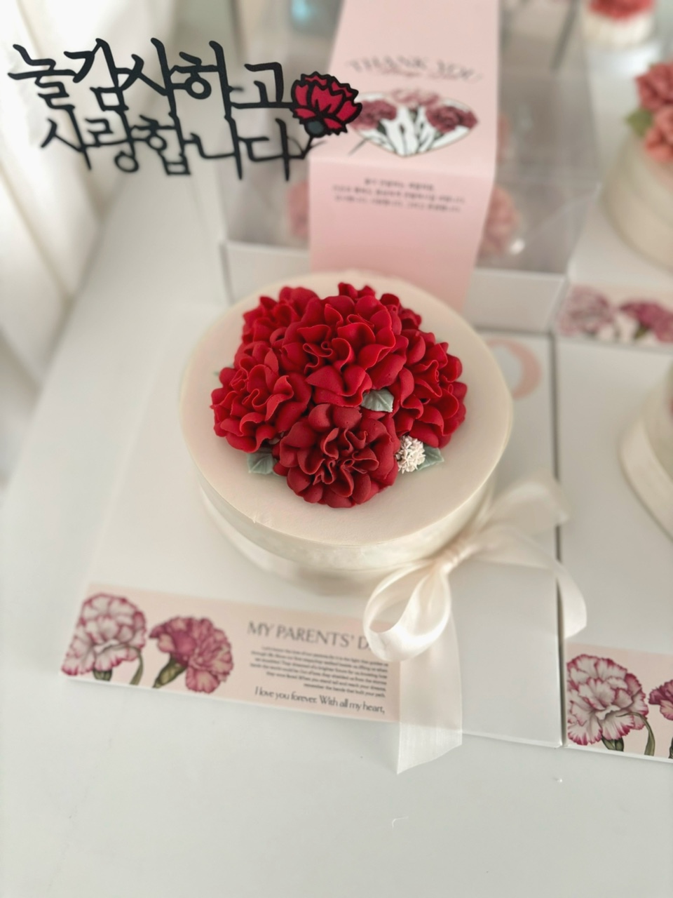 [쌀앙방] 일산 화정 행신 삼송 어버이날 앙금플라워 떡케이크 | 카네이션 케이크 1.레드돔