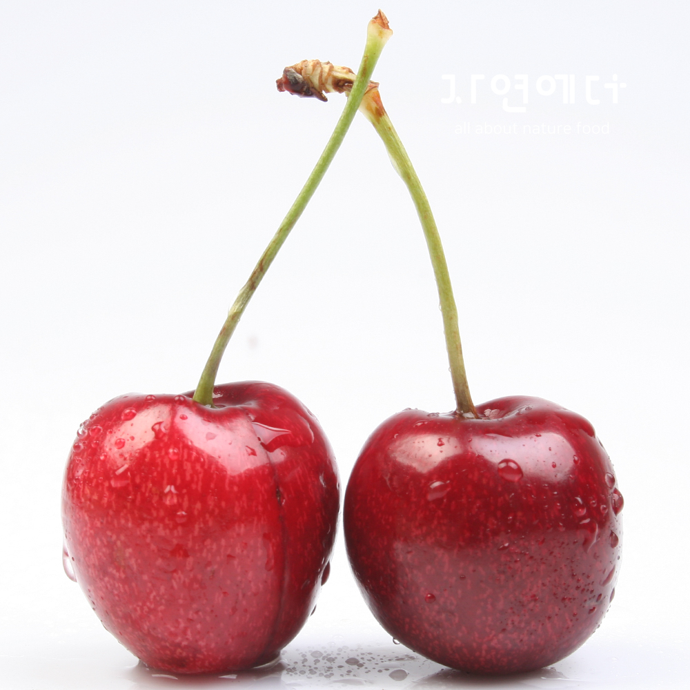 압도적인 상큼달콤  미국산 생 체리 1kg : 자연에더