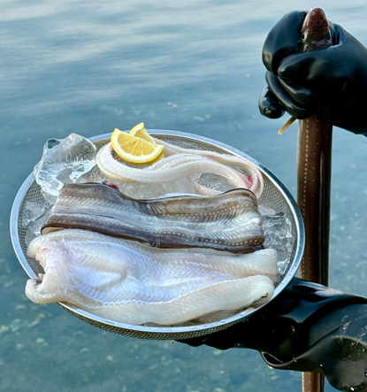 통영 자연산 손질 바다장어 대 1kg 장어 아나고 붕장어 보양식