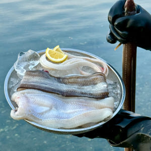 통영 자연산 손질 바다장어 대 1kg 손질 후 800g 장어 아나고 붕장... 맛있게 먹은 솔직 후기 - 상품 이미지 1