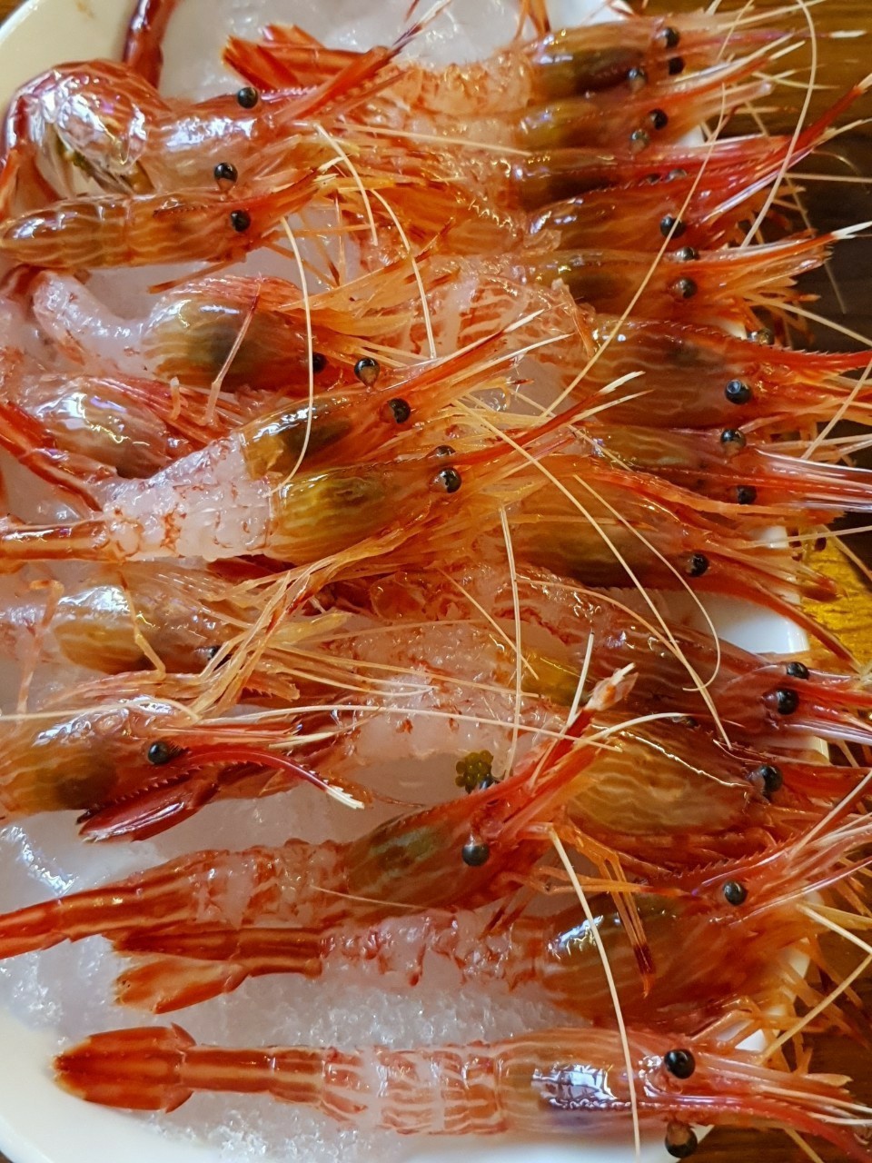나나수산 울진죽변항 활 꽃새우 닭새우 도화새우 300g,500g,1kg 구성 - 상세 이미지 2