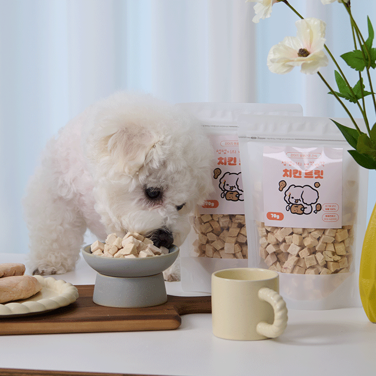 페네핏 강아지 동결건조 트릿 훈련 칭찬 저칼로리 간식 닭가슴살, 70g, 1개