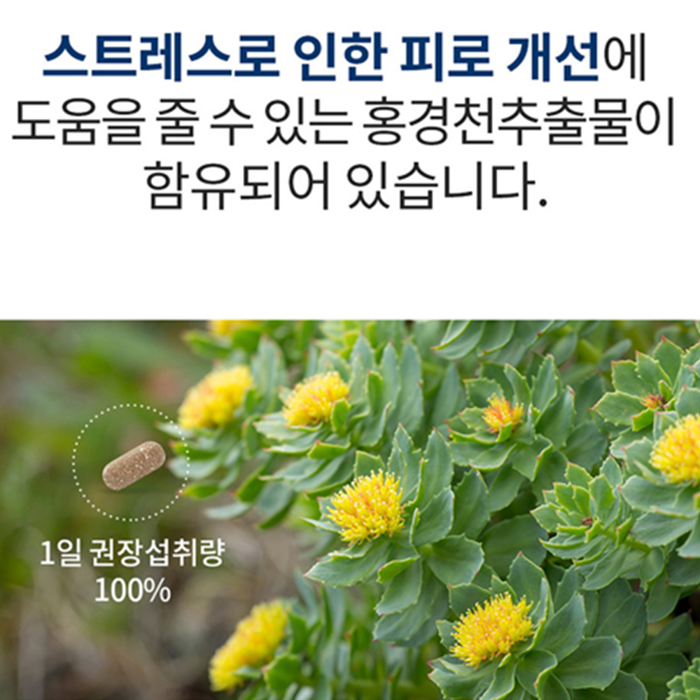 엔젯오리진 L 테아닌 로디올라 30정 3박스 3개월 홍경천 추출물 마그네슘 스트레스 긴장 - 상세 이미지 4