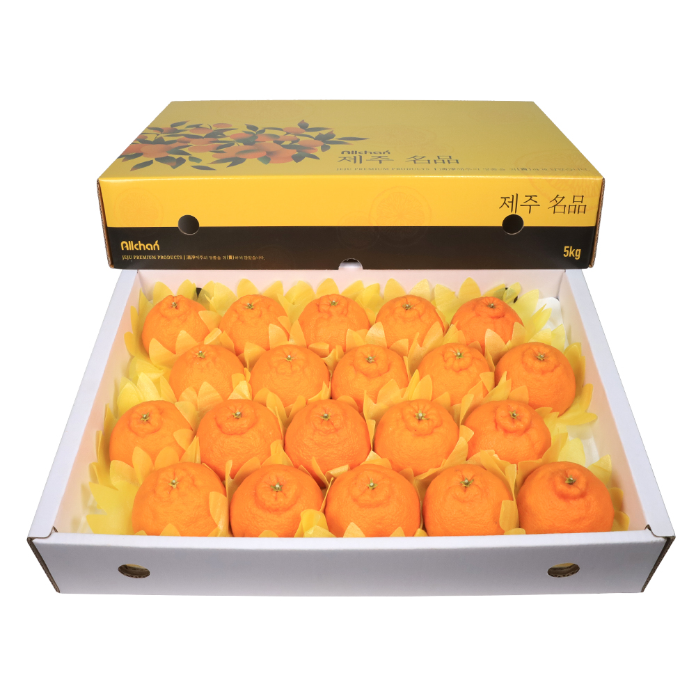 제주도 한라봉 가정용 선물세트 3kg 5kg 10kg 제품 이미지