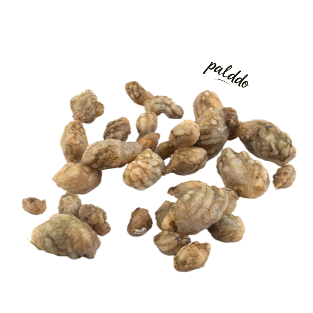 국내산 냉동 오만둥이 10KG 벌크 냉동 미더덕 오만디 업소용 대용량 아구찜 해물찜