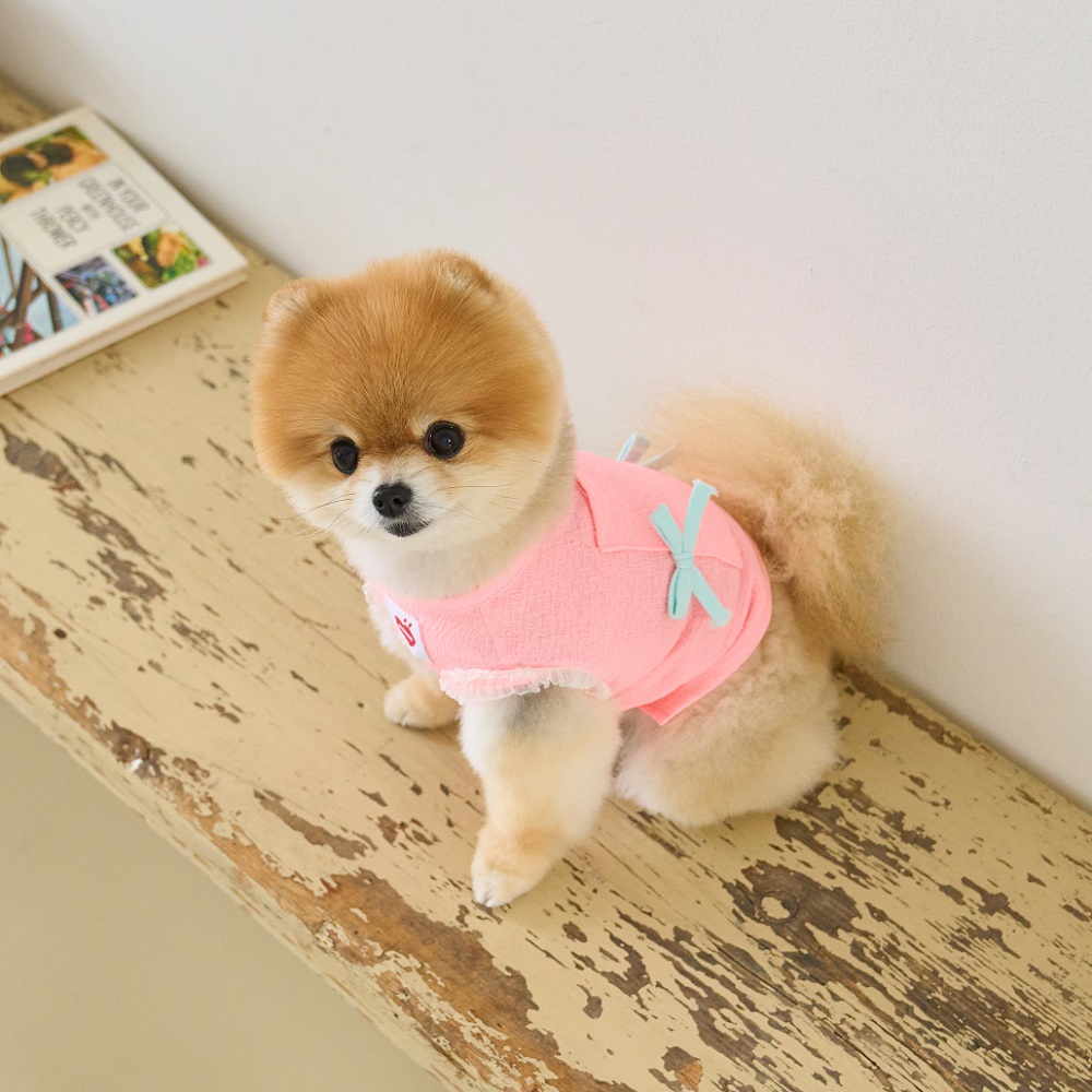 요새 강아지 여름옷 강아지 쿨조끼 쿨티 아이스팩 리본 슬리브리스 - 상세 이미지 5