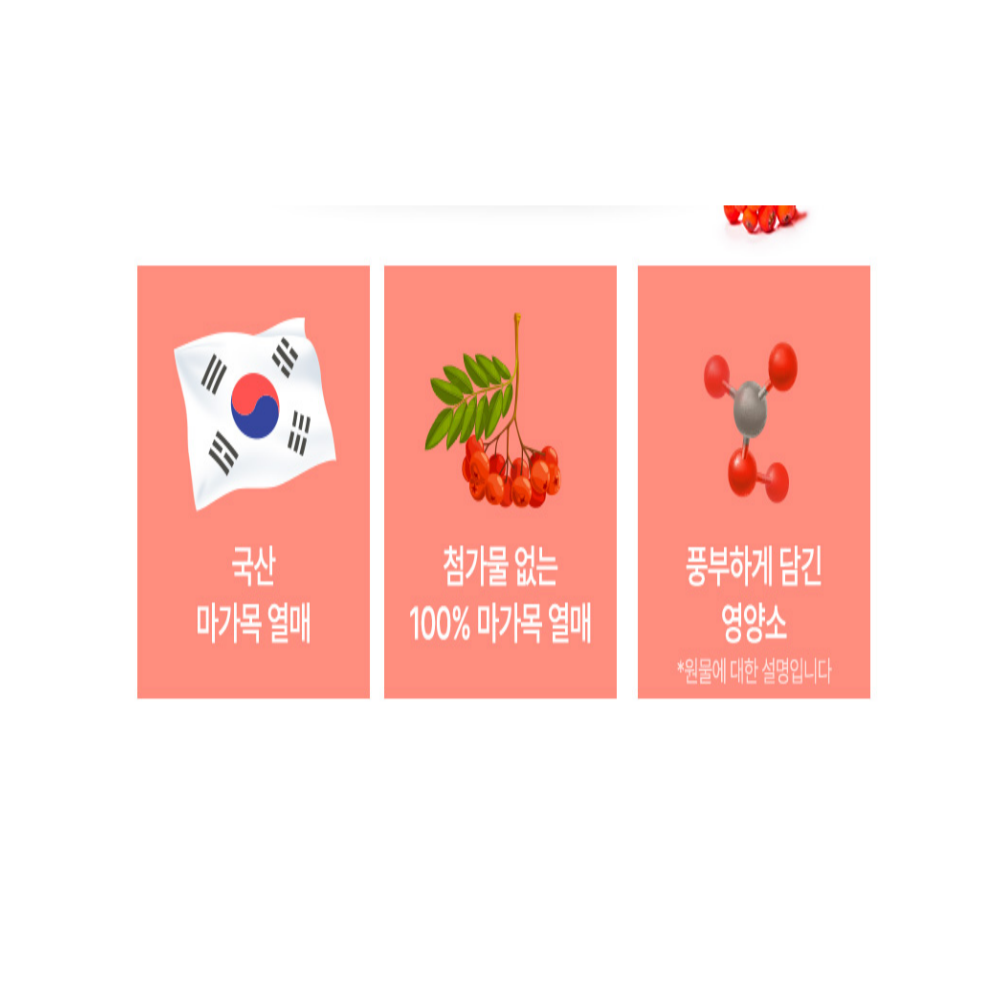 참굿즈 국산 말린 마가목 100% 마가목열매 300g - 상세 이미지 2