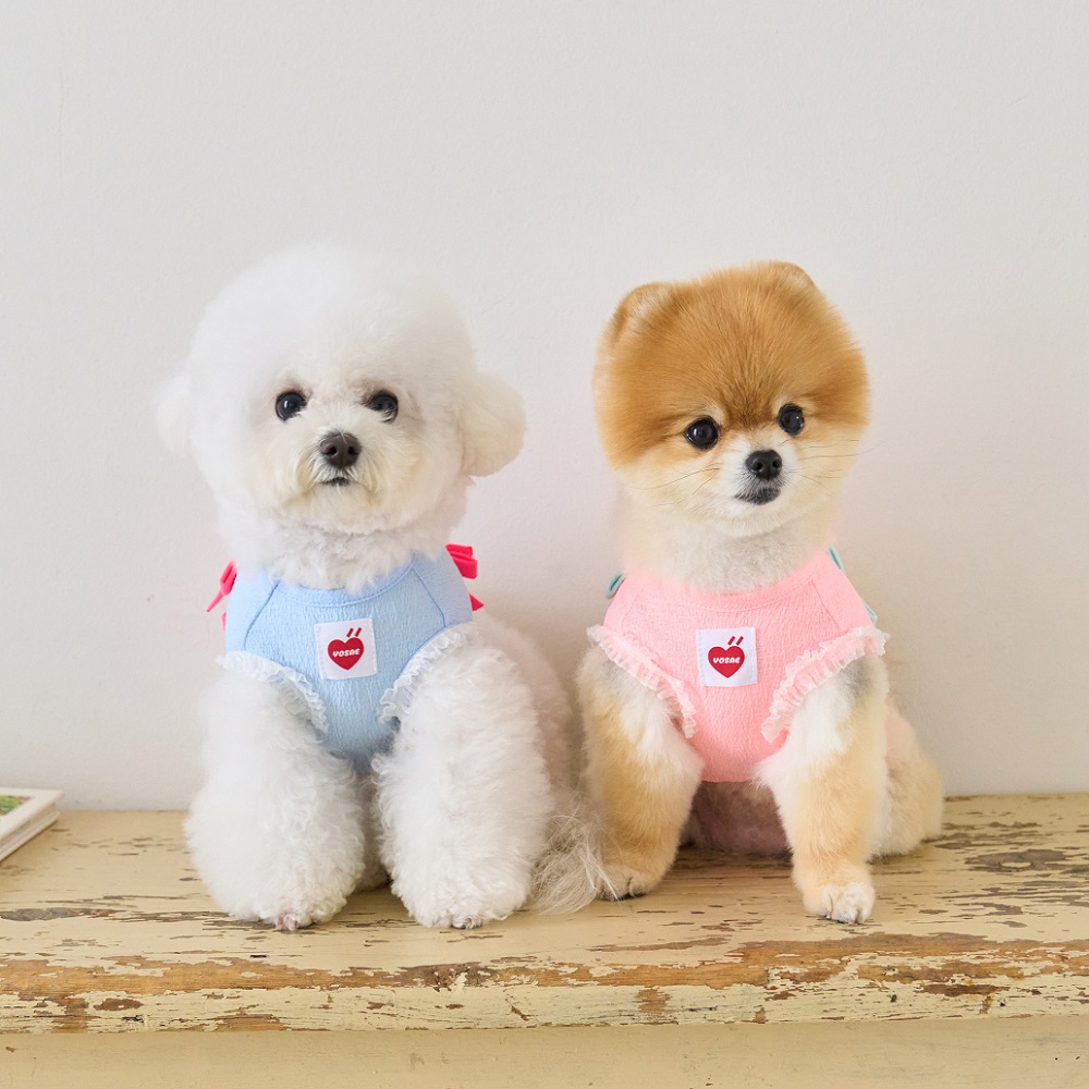 요새 강아지 여름옷 강아지 쿨조끼 쿨티 아이스팩 리본 슬리브리스 - 상세 이미지 2