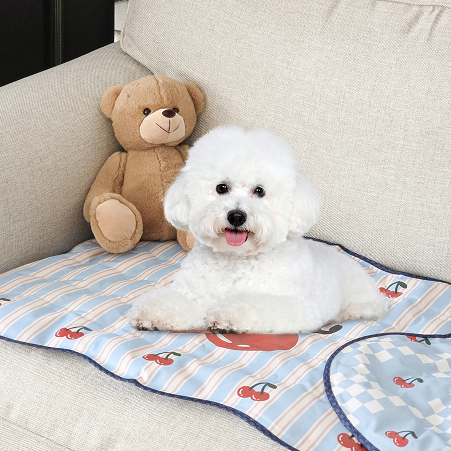프루티체리 쿨매트 강아지 고양이 반려동물 여름 아이스 쿨링 냉감 패드 블루, 50x73cm - 상세 이미지 4