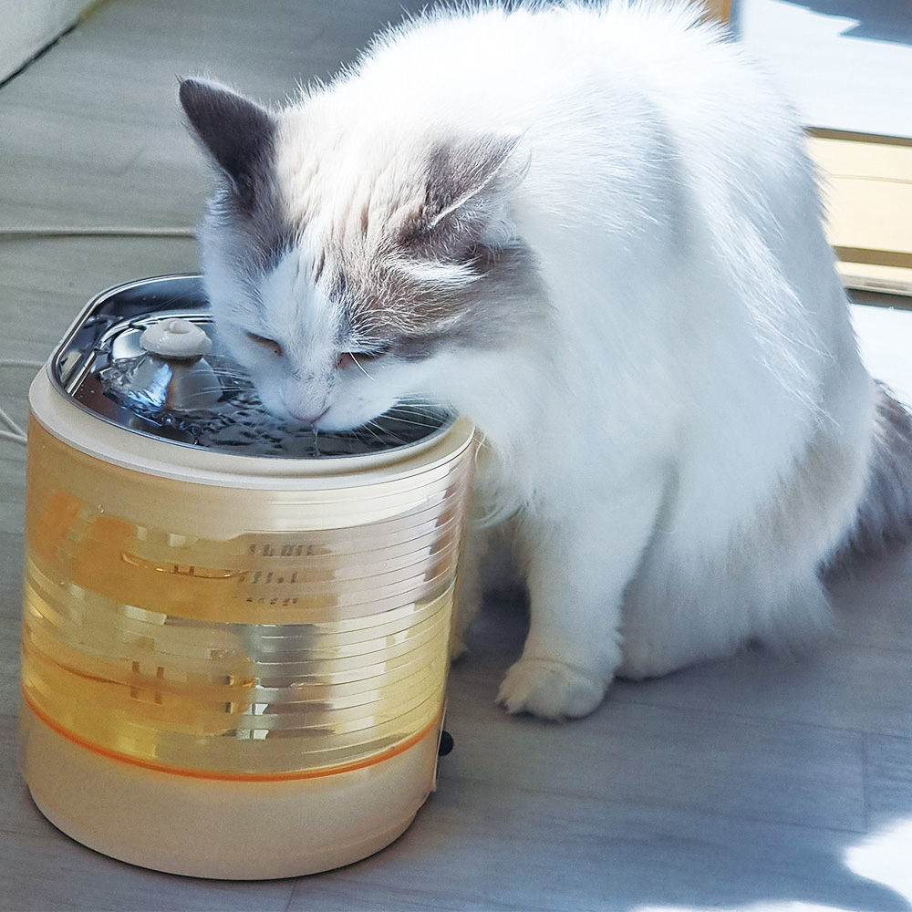 롤라 스마트 펫 무선 자동 정수기 (고양이 강아지 자동급수기 높이 16cm)by왓더펫