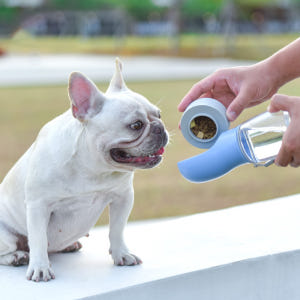 PB+ 간식보관형 듀얼 애견물통 강아지 산책 물병 380mL 솔직 후기 | 실제 사용자 리뷰 총정리 - 상품 이미지 4