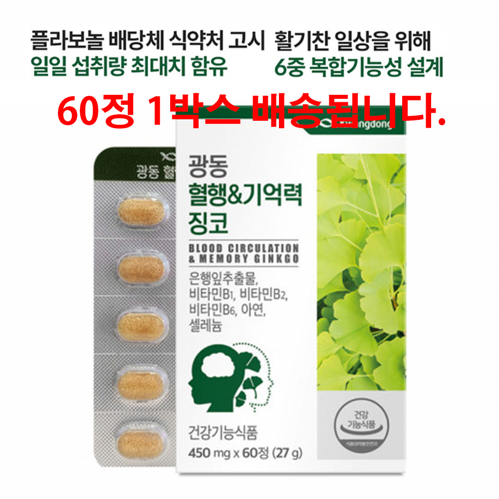 징코 은행잎 추출물 GINKGO 은행잎 비타민B 아연 셀렌 : 옆집아재몰