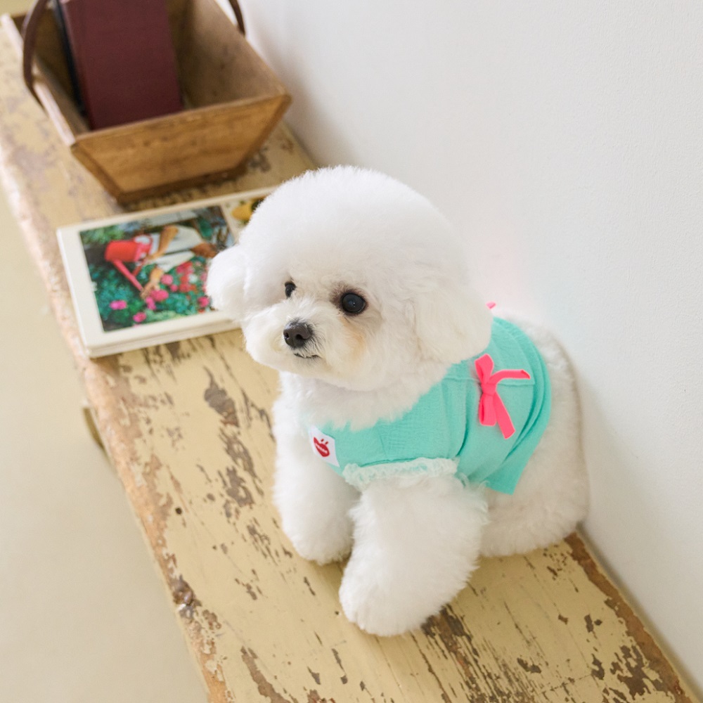 요새 강아지 여름옷 강아지 쿨조끼 쿨티 아이스팩 리본 슬리브리스 - 상세 이미지 3