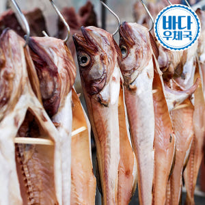 바다우체국 깔끔이 반건조 코다리 깨끗하게 잘 말린 손질 코다리 10/8/... 맛있게 먹은 솔직 후기 - 상품 이미지 1