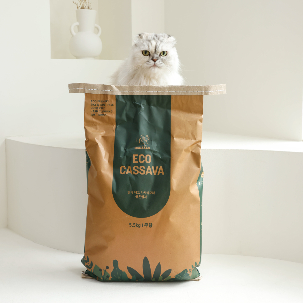 반짝 에코 카사바 모래 5.5kg X 2개 고양이 모래 - 상세 이미지 4