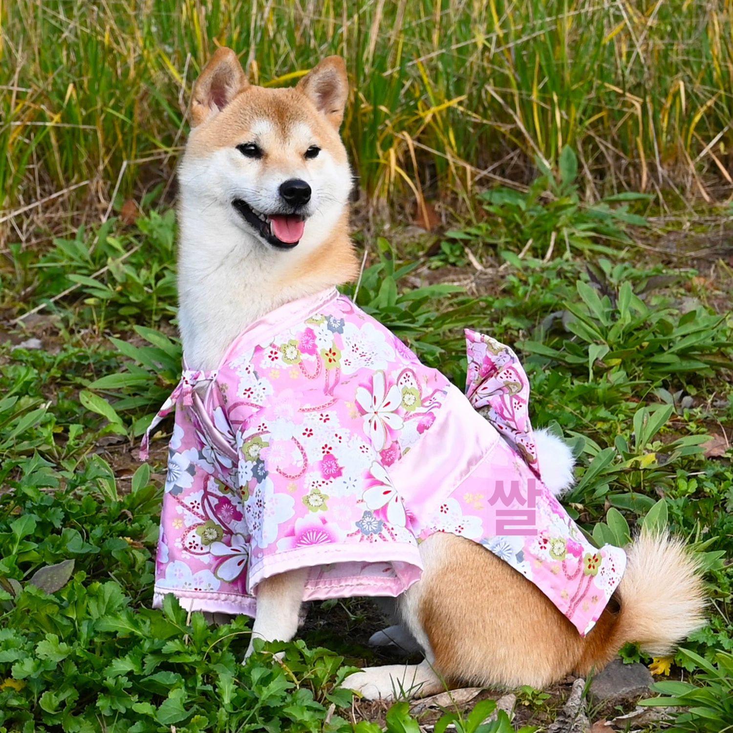 반려동물 기모노 유카타 소형견 중형견 시바견 웰시코기 프렌치불독 체크무늬 - 상세 이미지 3