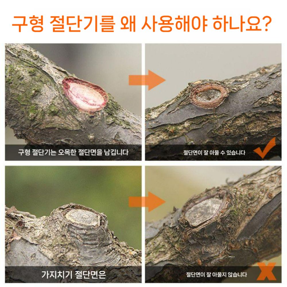 분재용 나무 혹가위 분재 가지 가지치기 가위 도구 뿌리 - 상세 이미지 4