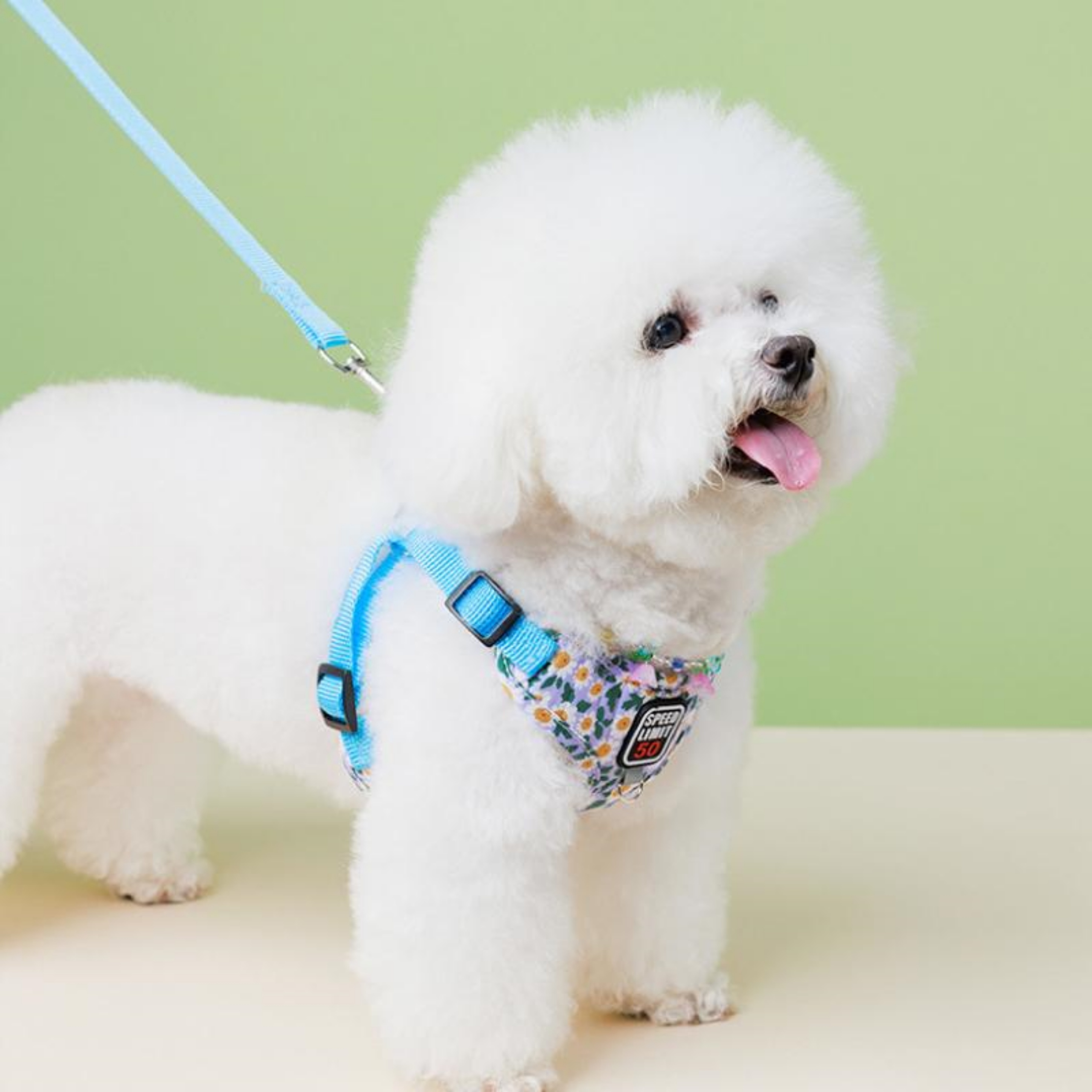 강아지하네스X형 관절보호 초소형견 슬개골 새끼 아기 강아지 - 상세 이미지 4