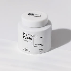 팬톤페인트 친환경 벽지 방문 몰딩 가구 소량페인트 300ml 에그쉘광 실사용 후기 | 효과 있을까? - 상품 이미지 3