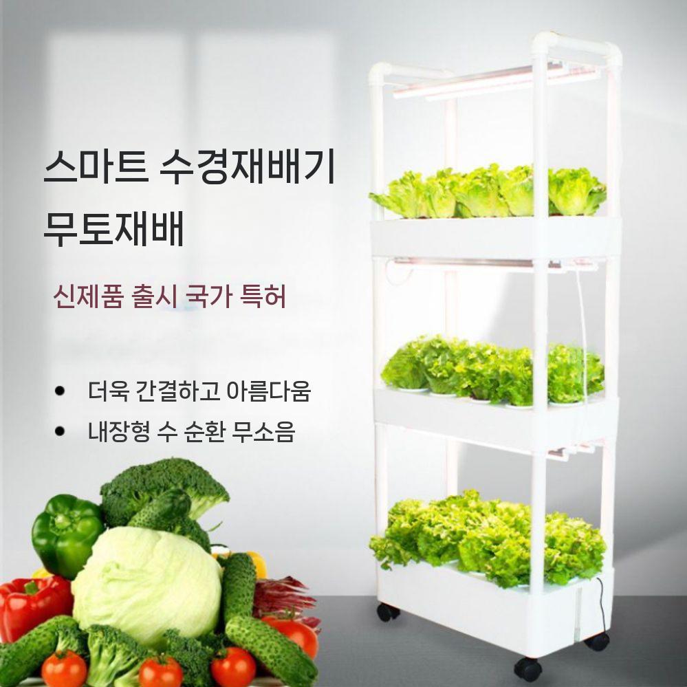 농장 수직 화분 야채 쌈 채소 LED 수직농장 식물 실내 팜 - 상세 이미지 3