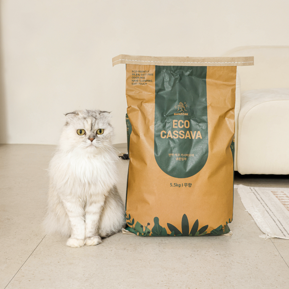 반짝 에코 카사바 모래 5.5kg X 2개 고양이 모래 - 상세 이미지 2