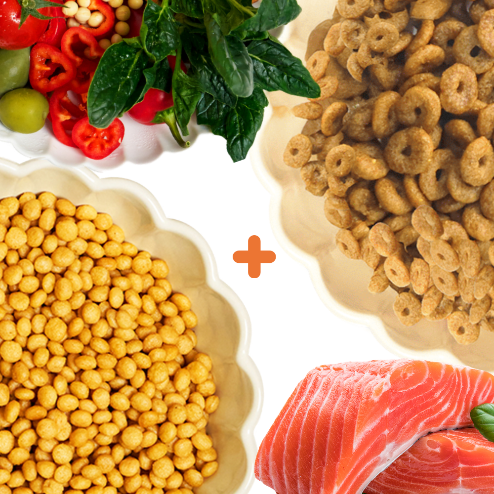 그래잇빌리 완벽 레시피 오리지널 C 1.5KG + 프리미엄 케어 1KG + 프리미엄 보냉백 + 비치타올 까지 최고의 조합 - 상세 이미지 4