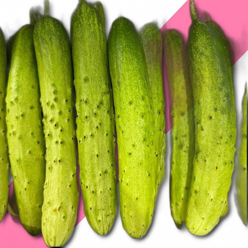 다다기 백오이 5KG 다다기백오이 다다기오이 국내산오이 국산오이 : 제이엔유통