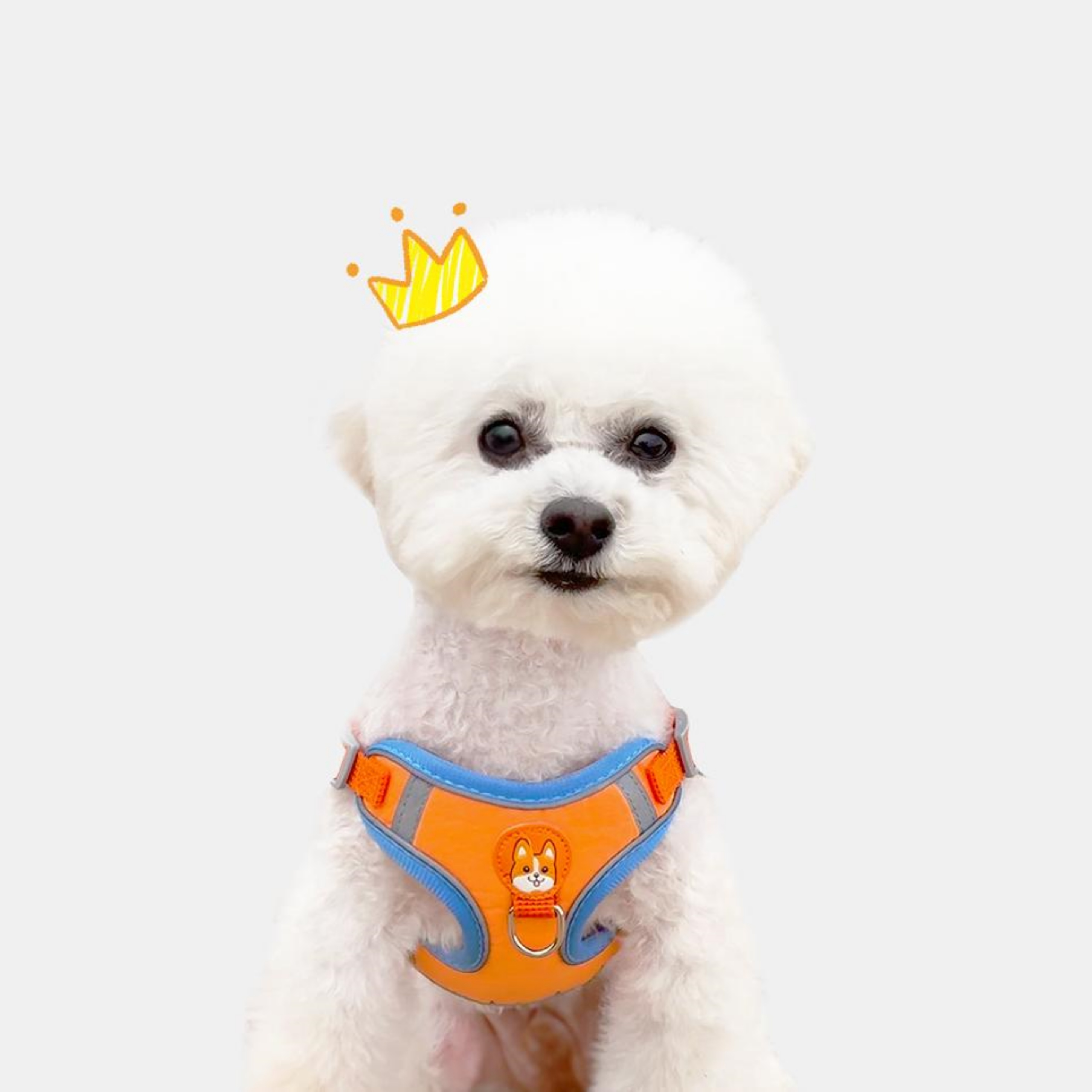 강아지하네스X형 관절보호 초소형견 슬개골 새끼 강아지 아기 - 상세 이미지 2