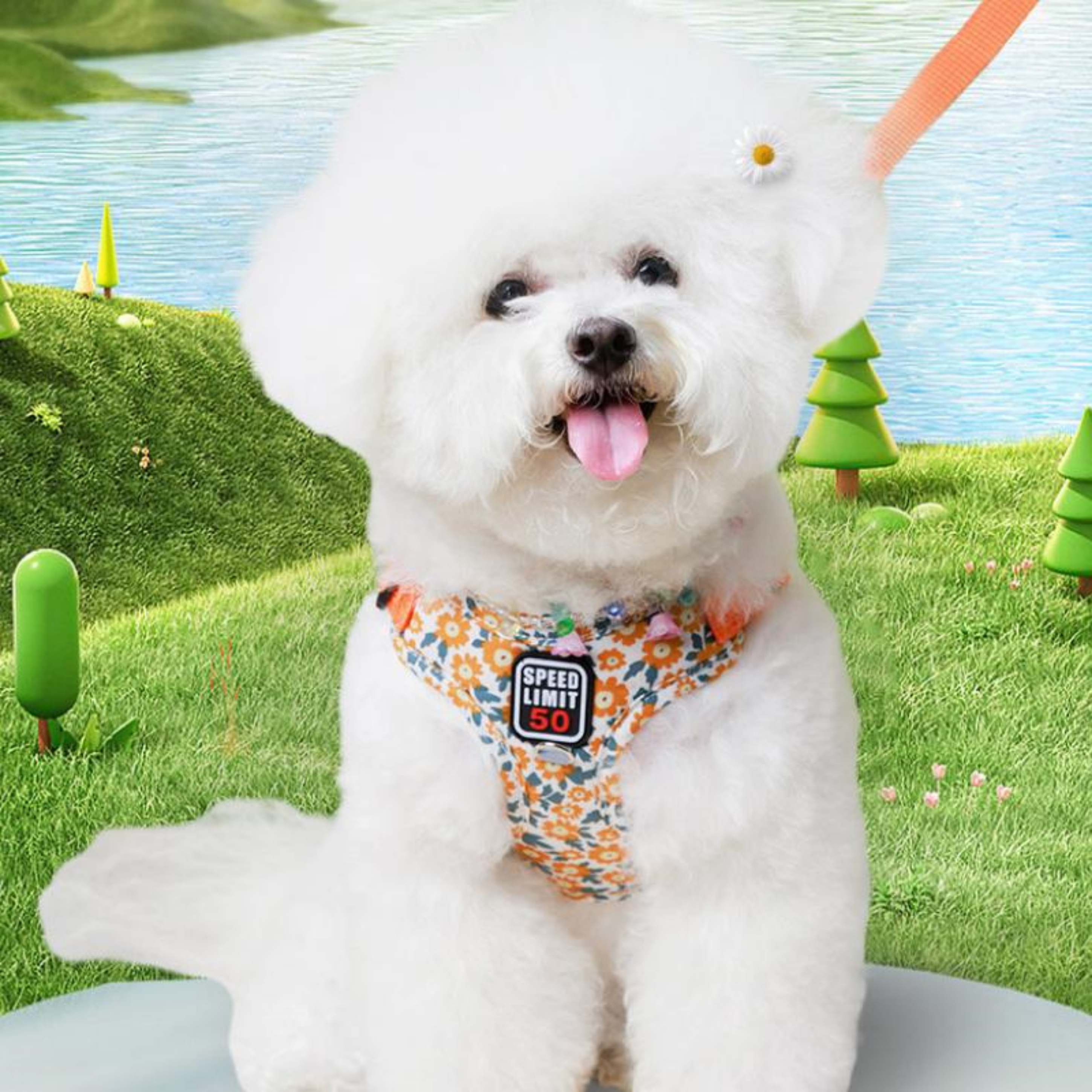 강아지하네스X형 관절보호 초소형견 슬개골 새끼 아기 강아지 이미지 7