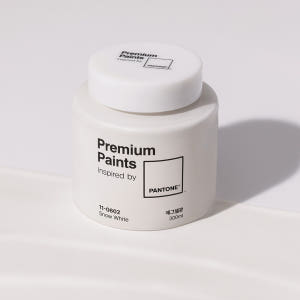 팬톤페인트 친환경 벽지 방문 몰딩 가구 소량페인트 300ml 에그쉘광 실사용 후기 | 효과 있을까? - 상품 이미지 4