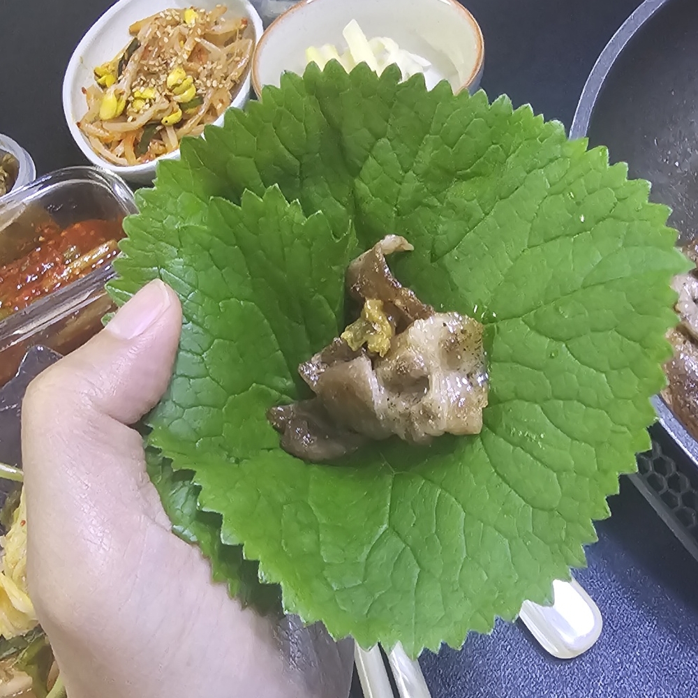 평창 자연산 곰취 생 곰취나물 명이 곤달비 두릅 명이나물 - 상세 이미지 5