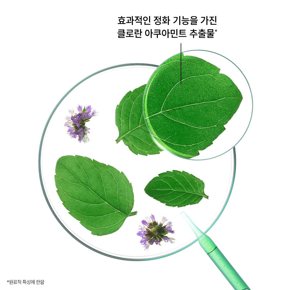 [클로란] 아쿠아민트 딥클렌징 쿨링 샴푸 400ml (각질케어&쿨링) 1+1 - 상세 이미지 5