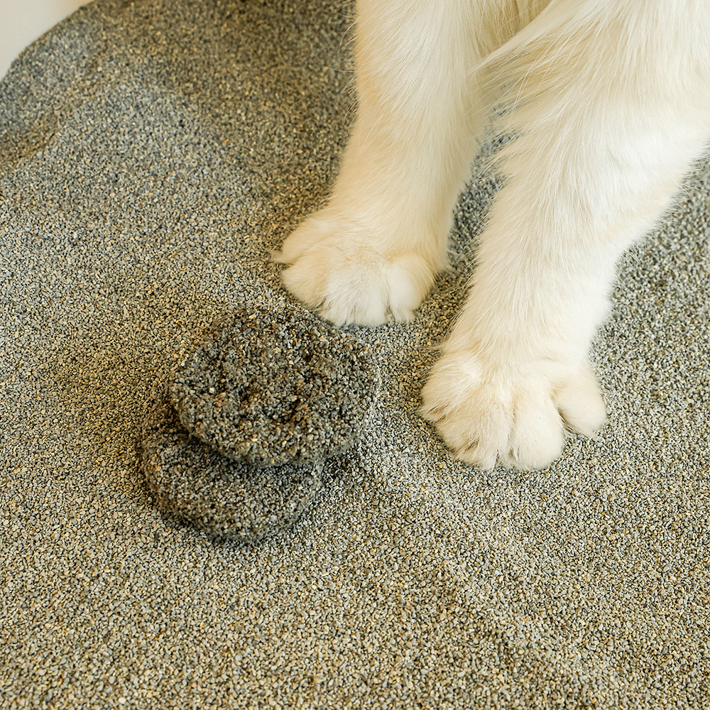 반짝 싱글 오리진 벤토나이트 일반입자 무향 9.5kg X 2개 고양이 모래 - 상세 이미지 5