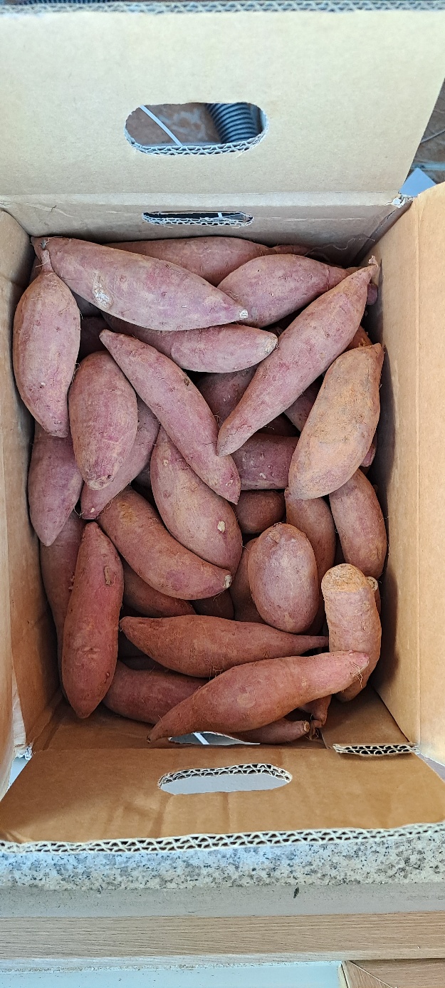 꿀고구마 달달한고구마 특, 2kg, 1개 - 상세 이미지 4